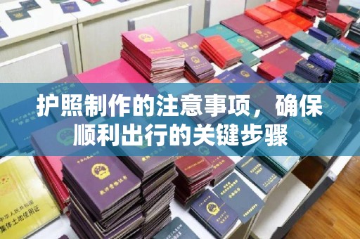 蒲城护照制作的注意事项，确保顺利出行的关键步骤